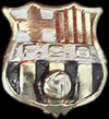 Barcelona Pin